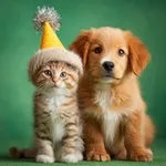 Аватар канала Замурчательный Мир 🐶 🐈