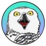 Аватар канала Биполярная сова 🦉 | Про зверят 🐾