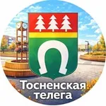 Аватар канала Тосно|Тосненская Телега ❤