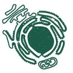 Аватар канала hujayra.uz