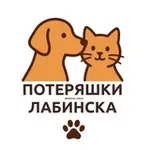 Аватар канала 🐾 Потеряшки Лабинска