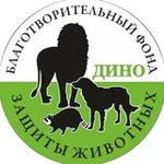 Аватар канала Зооцентр Дино 💚