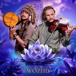Аватар канала WOZHD