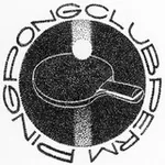Аватар канала PING-PONG CLUB PERM