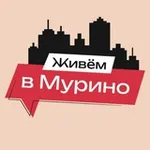 Аватар канала Живём в Мурино | м. Девяткино
