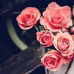 Аватар канала 🌹 رَفِيْقُ اَلْدَرْبِ 🌹