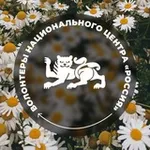 Аватар канала Волонтеры Национального центра «Россия»