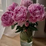 Аватар канала happy moments