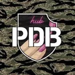 Аватар канала PDB HUB