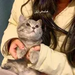 Аватар канала مَـليـش زَيّ ֶָ֢