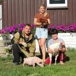 Аватар канала RozhinTV