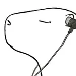 Аватар канала CAPYBARA TAPES