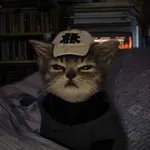Аватар канала Мемный бро