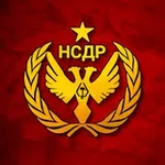 Аватар канала НСДР