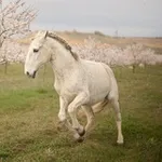 Аватар канала Domaine_Bonamy