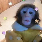 Аватар канала манке брадки
