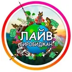 Аватар канала 🥇 ЛАЙВ Биробиджан