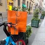 Аватар канала Egoistki Multibrand SALE 🛍️