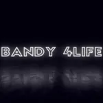 Аватар канала Bandy 4life