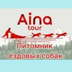 Аватар канала Айна Тур 🐾 Собачьи упряжки Сахалин 🐕