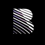 Аватар канала ПРОЕКЦИИ BLACK RAYS