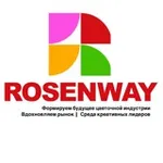Аватар канала 🔥ROSENWAY:прямые закупки цветов нового формата | расчёт доставки и закупки в 1 клик и от 1 коробки