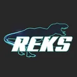 Аватар канала REKS | Russian Endurance Karting Series