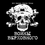 Аватар канала ВОИНЫ ВЕРХОВНОГО