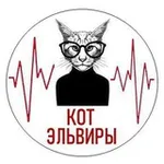 Аватар канала Кот Эльвиры