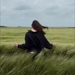 Аватар канала ПТИЦА ВОЛЬНАЯ