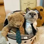Аватар канала kyousuke