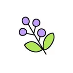 Аватар канала травкина 🌱