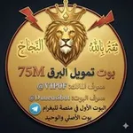 Аватар канала تمويل البرق 75M