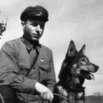 Аватар канала Карацупа