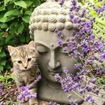 Аватар канала страх одиночества