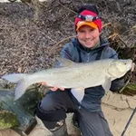 Аватар канала Денис Вихров | Профессиональная и любительская рыбалка | Denis Vikhrov Fishing
