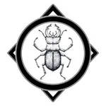 Аватар канала Castell Aurora