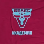 Аватар канала Академия «Велес»