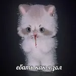 Аватар канала inkarwast art