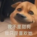 Аватар канала 800神教 中转站（黑心猫版 🐱 ）