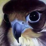 Аватар канала نْفَحٍـآت—ٌ آلُقَصٍيَدِ