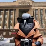 Аватар канала Голубь с Мира