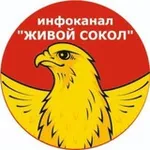 Аватар канала ЖИВОЙ СОКОЛ (инфоканал)