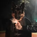 Аватар канала Meds n Music (PLA$TIC)