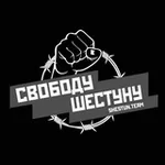 Аватар канала Дело Шестуна