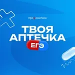 Аватар канала АПТЕЧКА ЕГЭ | Интенсив Профиматики для 11 класса