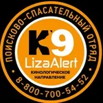 Аватар канала ЛизаАлерт: Кинологическое направление