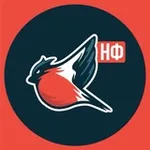 Аватар канала Молодёжка Народного Фронта - ДНР
