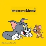 Аватар канала Wholesome Memes ™