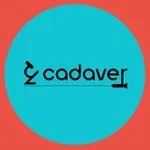 Аватар канала UZCADAVER